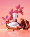 Calvin Klein Euphoria for Women Eau de Parfum (EDP) Spray