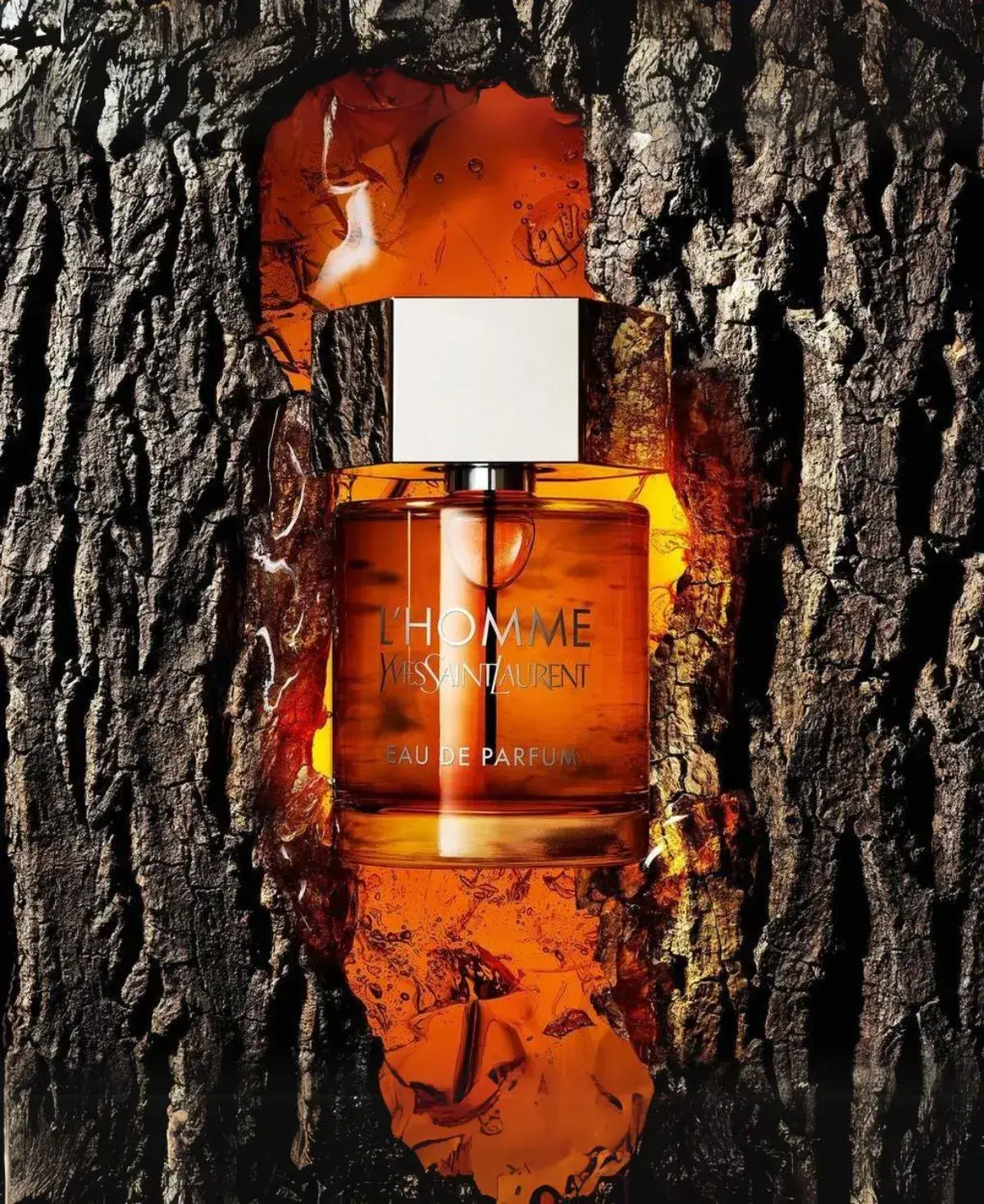 Yves Saint Laurent L'Homme for Men Eau de Parfum (EDP) Spray