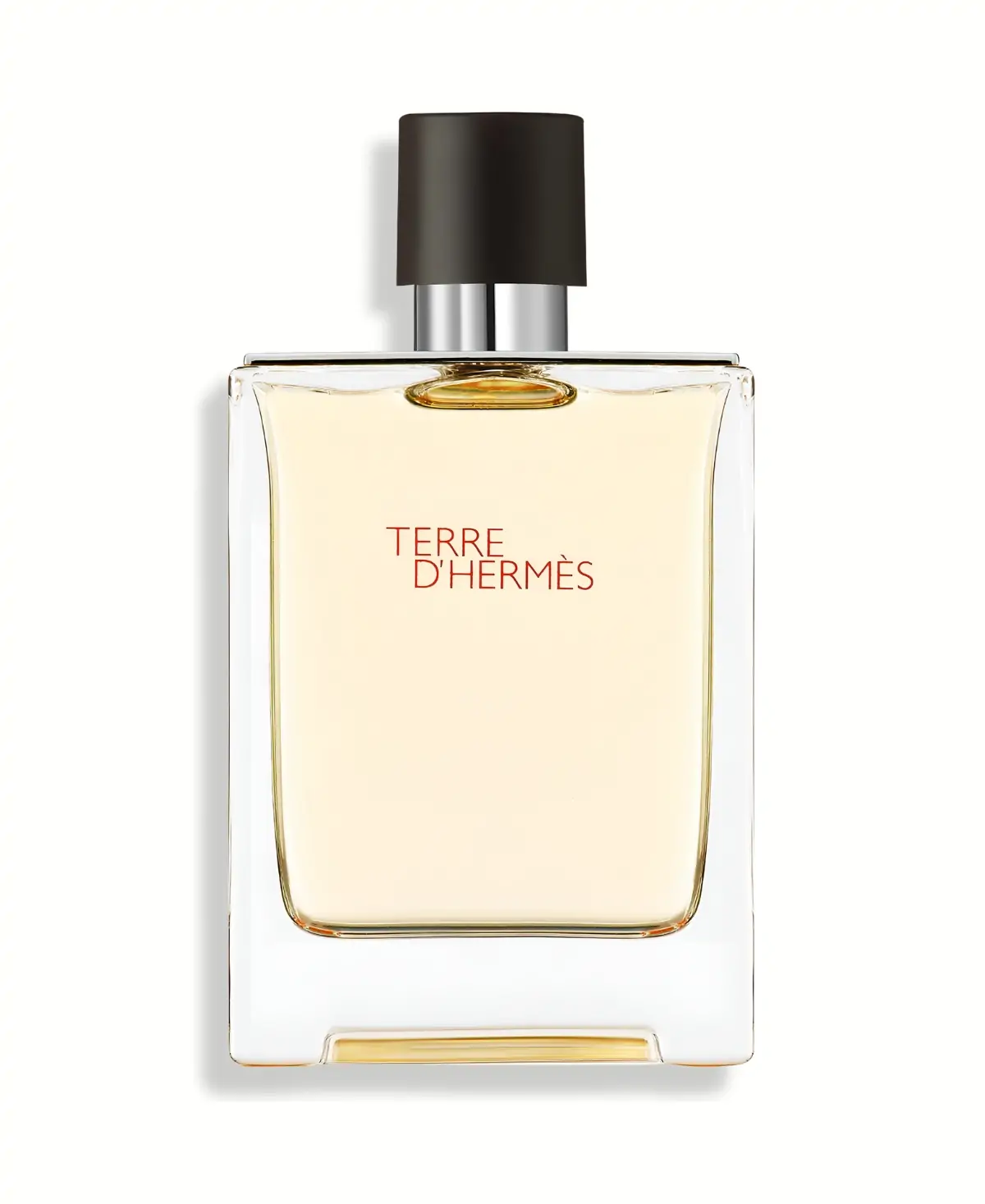 Hermes Terre D'Hermes Eau de Toilette EDT Spray for Men